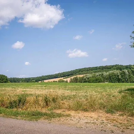 Kleinmuenster Lägenhet