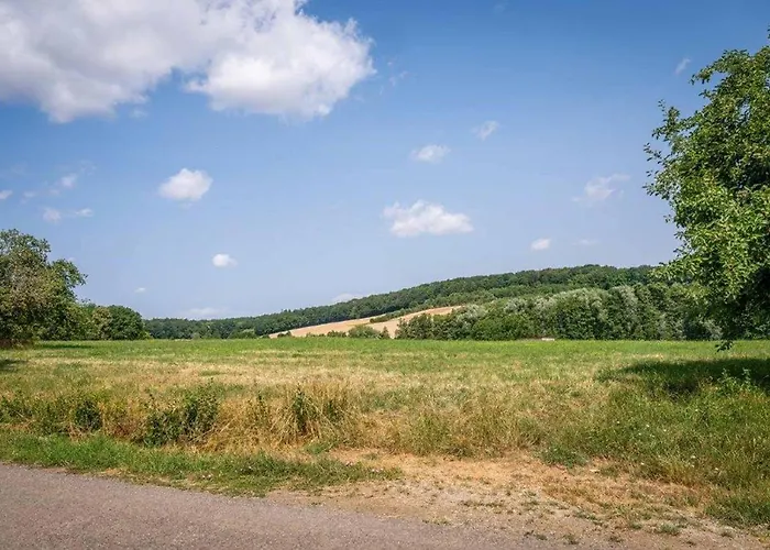 Kleinmuenster Lägenhet